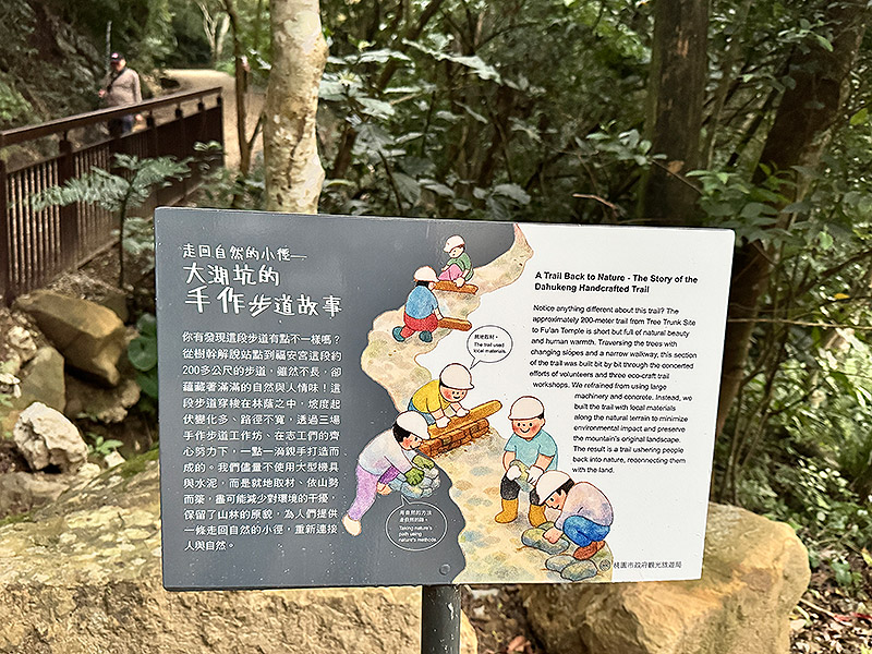 大湖之森‧步道深呼吸